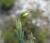 Img.VTax1265.Ex4.Img3