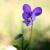 Img.VTax1305.Ex3.Img1