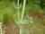 Img.VTax1313.Ex1.Img1