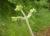 Img.VTax1313.Ex1.Img2