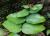 Img.VTax1315.Ex2.Img1