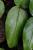Img.VTax1315.Ex2.Img2