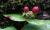 Img.VTax1315.Ex2.Img3