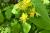 Img.VTax1315.Ex3.Img5