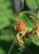 Img.VTax1317.Ex2.Img1