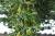 Img.VTax132.Ex1.Img1