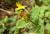 Img.VTax1322.Ex2.Img3