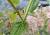 Img.VTax1322.Ex2.Img7