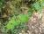 Img.VTax1323.Ex1.Img1