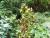 Img.VTax1323.Ex1.Img2