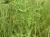 Img.VTax1324.Ex1.Img3