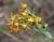 Img.VTax1324.Ex2.Img1