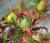 Img.VTax1324.Ex2.Img3