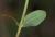 Img.VTax1324.Ex2.Img6