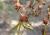 Img.VTax1324.Ex3.Img3