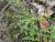 Img.VTax1325.Ex2.Img1