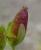Img.VTax1325.Ex2.Img3