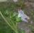 Img.VTax1337.Ex1.Img1