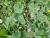 Img.VTax1337.Ex1.Img3