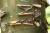 Img.VTax134.Ex1.Img1