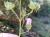 Img.VTax1346.Ex1.Img1