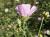 Img.VTax1346.Ex1.Img2