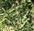Img.VTax1346.Ex1.Img3