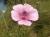 Img.VTax1346.Ex1.Img4