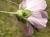 Img.VTax1346.Ex1.Img5