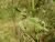 Img.VTax1346.Ex1.Img6