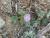 Img.VTax1348.Ex1.Img1