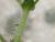 Img.VTax1348.Ex1.Img3