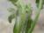 Img.VTax1348.Ex1.Img4
