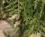 Img.VTax137.Ex1.Img1