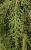 Img.VTax137.Ex1.Img2