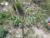 Img.VTax1394.Ex4.Img2