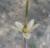 Img.VTax1394.Ex4.Img5
