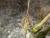 Img.VTax1394.Ex5.Img2