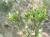 Img.VTax1421.Ex1.Img2