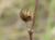 Img.VTax1421.Ex1.Img3
