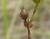 Img.VTax1421.Ex1.Img4