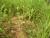 Img.VTax1421.Ex1.Img6