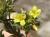 Img.VTax1421.Ex1.Img8
