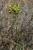 Img.VTax1436.Ex1.Img1