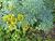 Img.VTax1438.Ex1.Img5