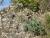 Img.VTax1438.Ex1.Img6