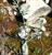 Img.VTax1438.Ex2.Img2