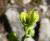Img.VTax1438.Ex2.Img3