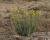 Img.VTax1441.Ex1.Img1