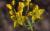 Img.VTax1441.Ex1.Img2